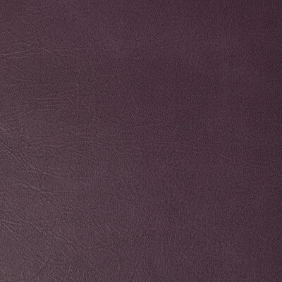 Kravet Contract Upholstery TP-366997.10.0 Upholstery PVC - ARTIFICIAL LEATHER - 100% China </p><p>Repeat: H: , V: 27.5 21 - My Fabric Connection -