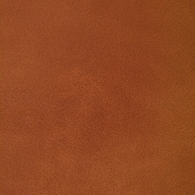 Kravet Contract Upholstery TP-366997.24.0 Upholstery PVC - ARTIFICIAL LEATHER - 100% China </p><p>Repeat: H: , V: 27.5 21 - My Fabric Connection -