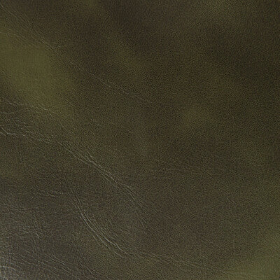 Kravet Contract Upholstery TP-366997.30.0 Upholstery PVC - ARTIFICIAL LEATHER - 100% China </p><p>Repeat: H: , V: 27.5 21 - My Fabric Connection -