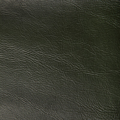 Kravet Contract Upholstery TP-366997.33.0 Upholstery PVC - ARTIFICIAL LEATHER - 100% China </p><p>Repeat: H: , V: 27.5 21 - My Fabric Connection -