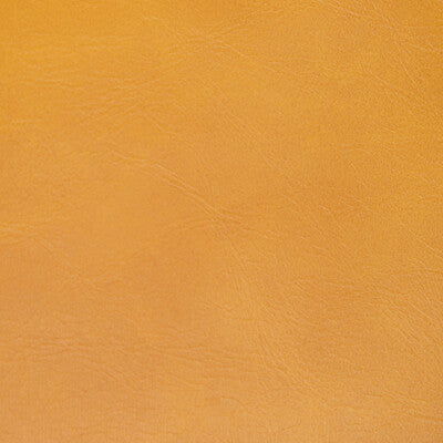 Kravet Contract Upholstery TP-366997.4.0 Upholstery PVC - ARTIFICIAL LEATHER - 100% China </p><p>Repeat: H: , V: 27.5 21 - My Fabric Connection -