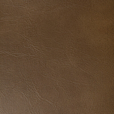 Kravet Contract Upholstery TP-366997.606.0 Upholstery PVC - ARTIFICIAL LEATHER - 100% China </p><p>Repeat: H: , V: 27.5 21 - My Fabric Connection -