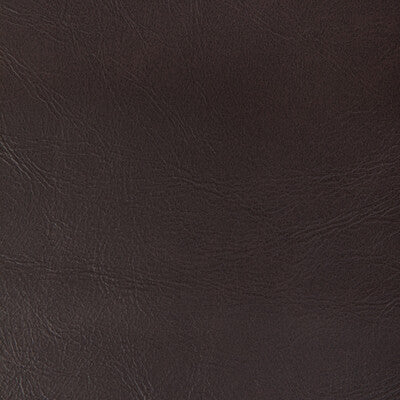 Kravet Contract Upholstery TP-366997.6666.0 Upholstery PVC - ARTIFICIAL LEATHER - 100% China </p><p>Repeat: H: , V: 27.5 21 - My Fabric Connection -