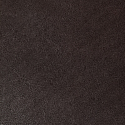 Kravet Contract Upholstery TP-366997.6.0 Upholstery PVC - ARTIFICIAL LEATHER - 100% China </p><p>Repeat: H: , V: 27.5 21 - My Fabric Connection -