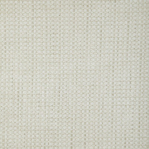 Tp-376689 101 TP-376689.101.0 by Kravet Smart Fabric