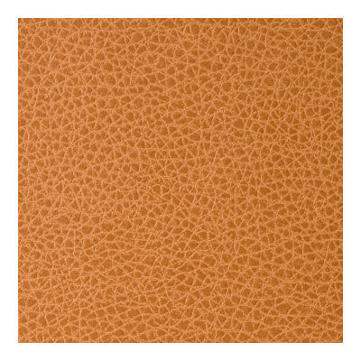 Kravet Contract Upholstery TP-392433.12.0 Upholstery POLYCARBONATE - 100% China </p><p>Repeat: H: , V: 27.5 21 - My Fabric Connection -