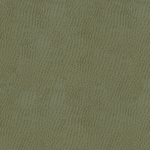 Tp-67893 11 TP-67893.11.0 by Kravet Smart Fabric