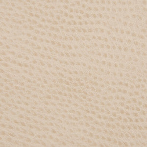 Tp-67893 16 TP-67893.16.0 by Kravet Smart Fabric