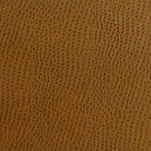 Tp-67893 24 TP-67893.24.0 by Kravet Smart Fabric
