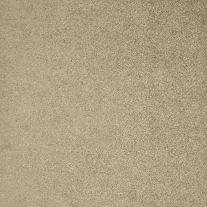 Theda # 706 Lion by Maxwell Fabric Velvet Room 87% POLYESTER/13% LINEN TURKEY 54" - Fabric Carolina -
