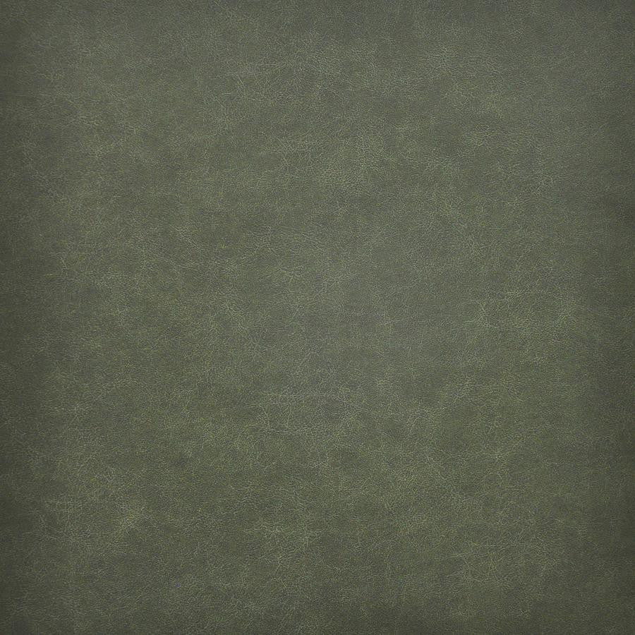 Taro # 201 Evergreen by Maxwell Fabric Easy Rider Vi 100% PVC TAIWAN 54" - Fabric Carolina -