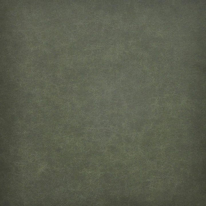 Taro # 201 Evergreen by Maxwell Fabric Easy Rider Vi 100% PVC TAIWAN 54" - Fabric Carolina -