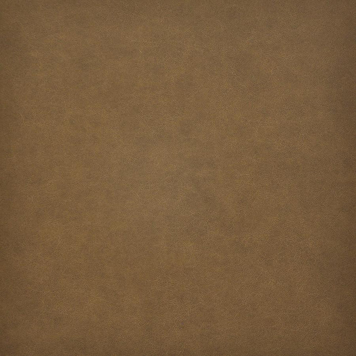 Taro # 204 Mustang by Maxwell Fabric Easy Rider Vi 100% PVC TAIWAN 54" - Fabric Carolina -
