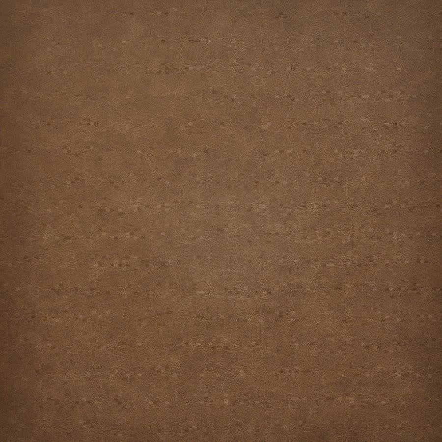 Taro # 205 Rum by Maxwell Fabric Easy Rider Vi 100% PVC TAIWAN 54" - Fabric Carolina -
