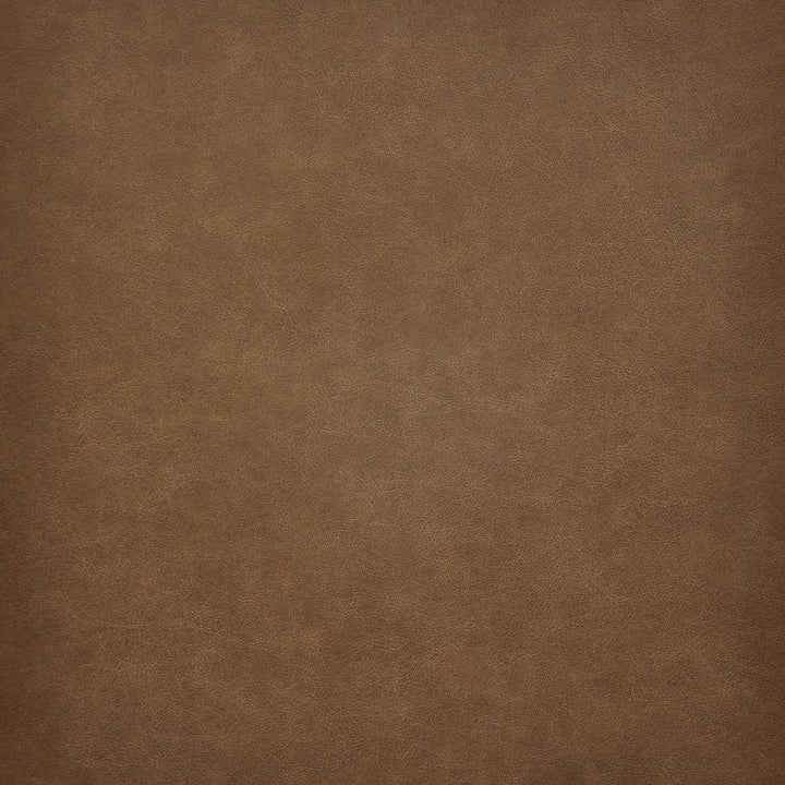 Taro # 205 Rum by Maxwell Fabric Easy Rider Vi 100% PVC TAIWAN 54" - Fabric Carolina -
