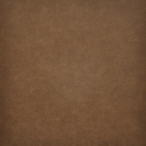Taro # 205 Rum by Maxwell Fabric