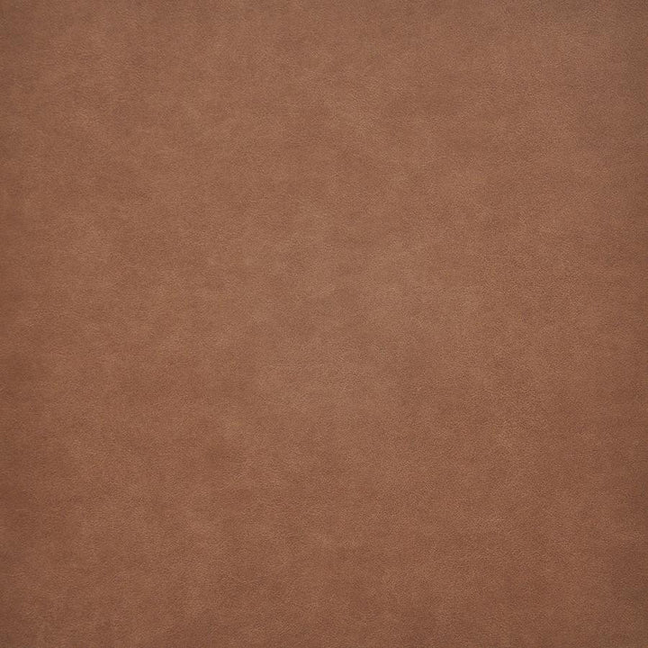 Taro # 206 Spice by Maxwell Fabric Easy Rider Vi 100% PVC TAIWAN 54" - Fabric Carolina -