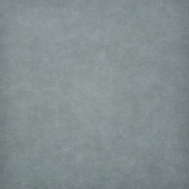 Taro # 211 Sea Biscuit by Maxwell Fabric Easy Rider Vi 100% PVC TAIWAN 54" - Fabric Carolina -