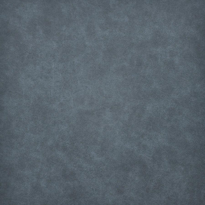 Taro # 212 Geyser by Maxwell Fabric Easy Rider Vi 100% PVC TAIWAN 54" - Fabric Carolina -