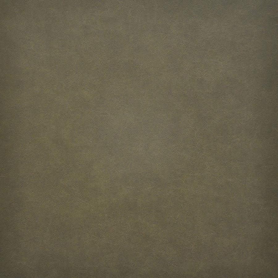 Taro # 215 Thyme by Maxwell Fabric Easy Rider Vi 100% PVC TAIWAN 54" - Fabric Carolina -