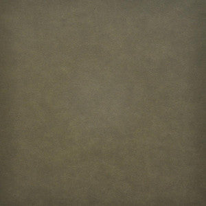 Taro # 215 Thyme by Maxwell Fabric