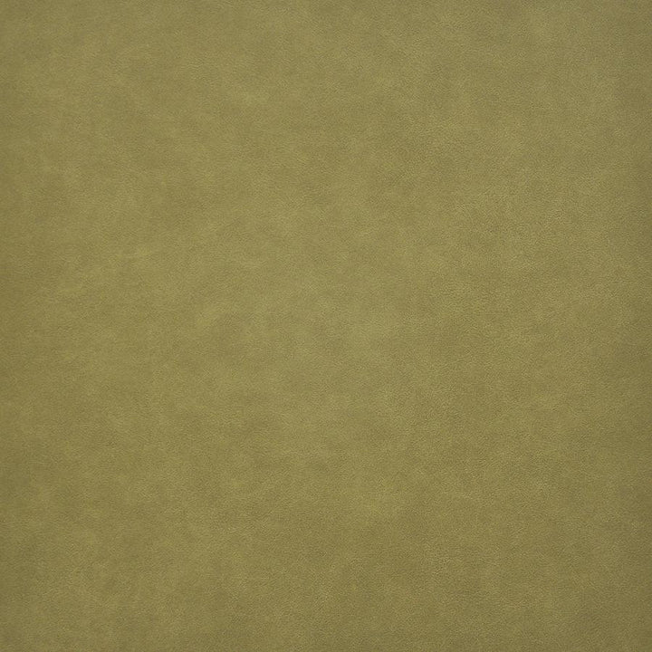 Taro # 216 Sprout by Maxwell Fabric Easy Rider Vi 100% PVC TAIWAN 54" - Fabric Carolina -
