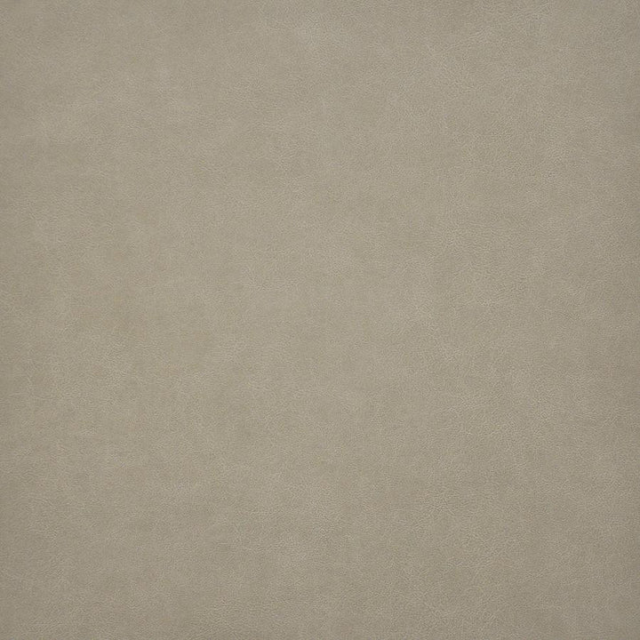 Taro # 217 Jute by Maxwell Fabric Easy Rider Vi 100% PVC TAIWAN 54" - Fabric Carolina -