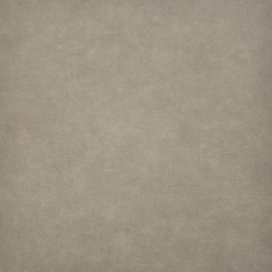 Taro # 218 Trail by Maxwell Fabric Easy Rider Vi 100% PVC TAIWAN 54" - Fabric Carolina -