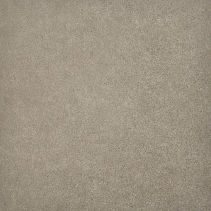 Taro # 218 Trail by Maxwell Fabric Easy Rider Vi 100% PVC TAIWAN 54" - Fabric Carolina -