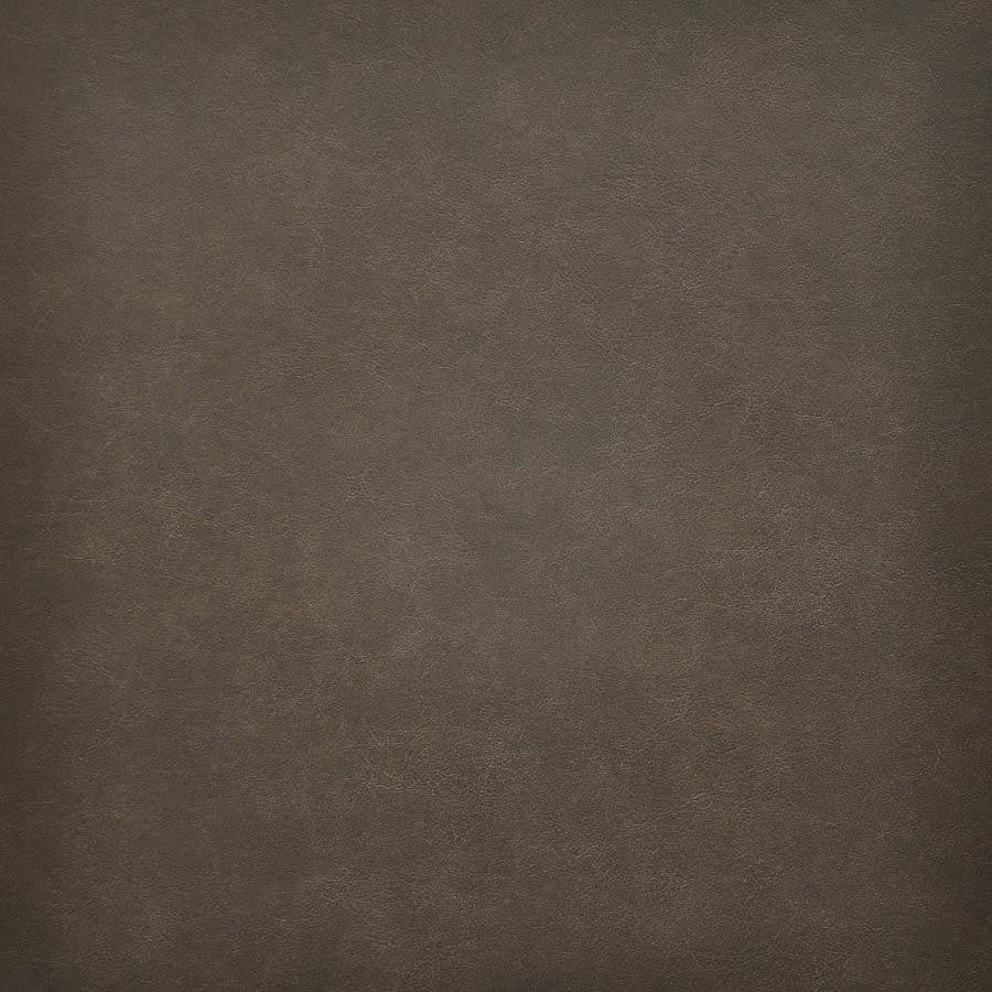 Taro # 220 Chestnut by Maxwell Fabric Easy Rider Vi 100% PVC TAIWAN 54" - Fabric Carolina -