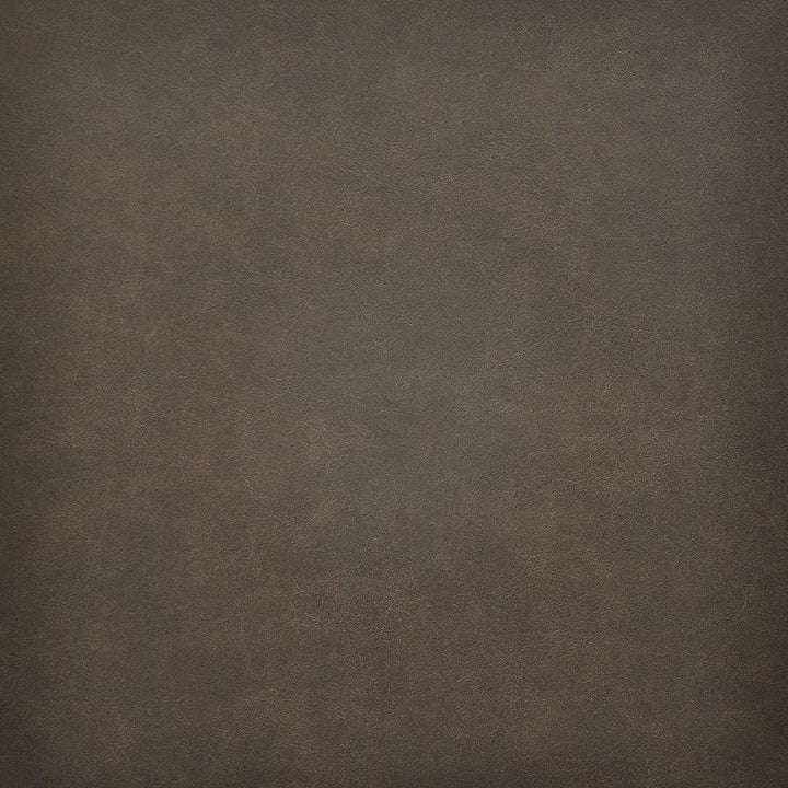Taro # 220 Chestnut by Maxwell Fabric Easy Rider Vi 100% PVC TAIWAN 54" - Fabric Carolina -