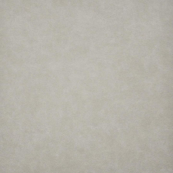 Taro # 225 Ashwood by Maxwell Fabric Easy Rider Vi 100% PVC TAIWAN 54" - Fabric Carolina -