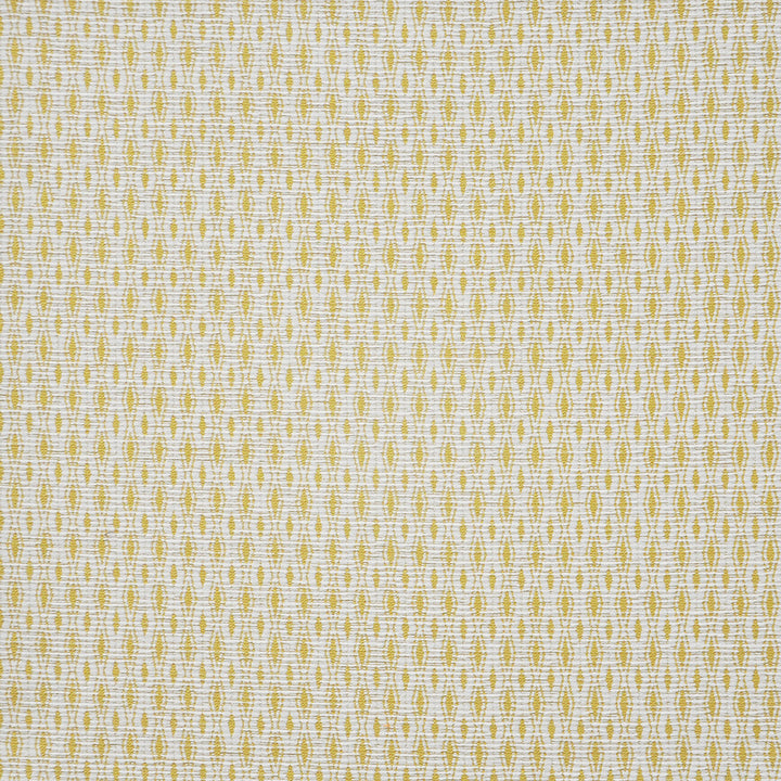 Trisector # 818 Popcorn by Maxwell Fabric PERFORMANCE WOVENS-VOL.IV BOUDOIR 55% POLYESTER/30% COTTON
15% OLEFIN USA See sample </p><p>Repeat: Horizontal: 0.5" and Vertical: 1" 56" - Fabric Carolina -