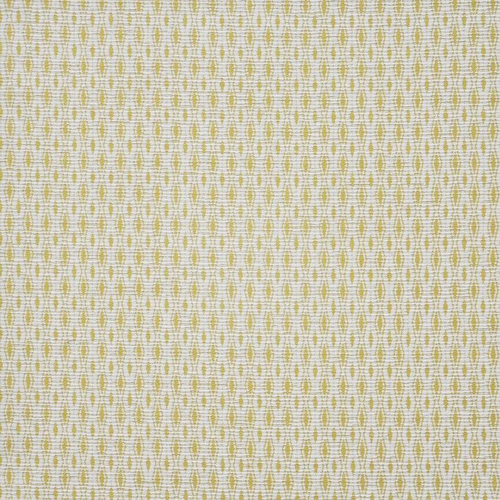 Trisector # 818 Popcorn by Maxwell Fabric PERFORMANCE WOVENS-VOL.IV BOUDOIR 55% POLYESTER/30% COTTON 15% OLEFIN USA V-1"H-0.5" 56" - Fabric Carolina -