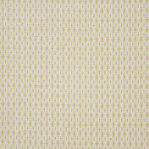 Trisector # 818 Popcorn by Maxwell Fabric