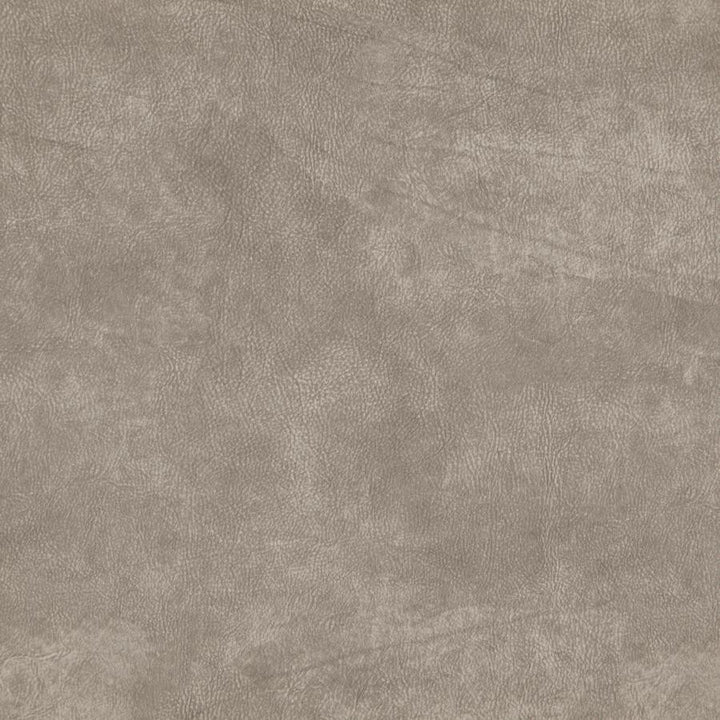 Titus # 18 Stucco by Maxwell Fabric CURLED UP VI 100% POLYESTER CHINA 55.5" - Fabric Carolina -