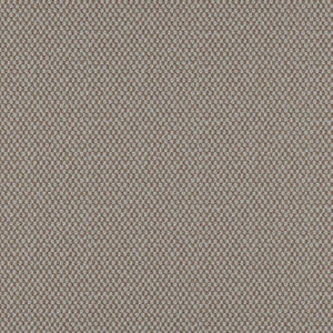 Take Off # 601 Granite by Maxwell Fabric