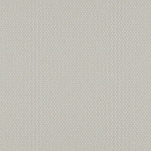 Take Off # 602 Cream by Maxwell Fabric