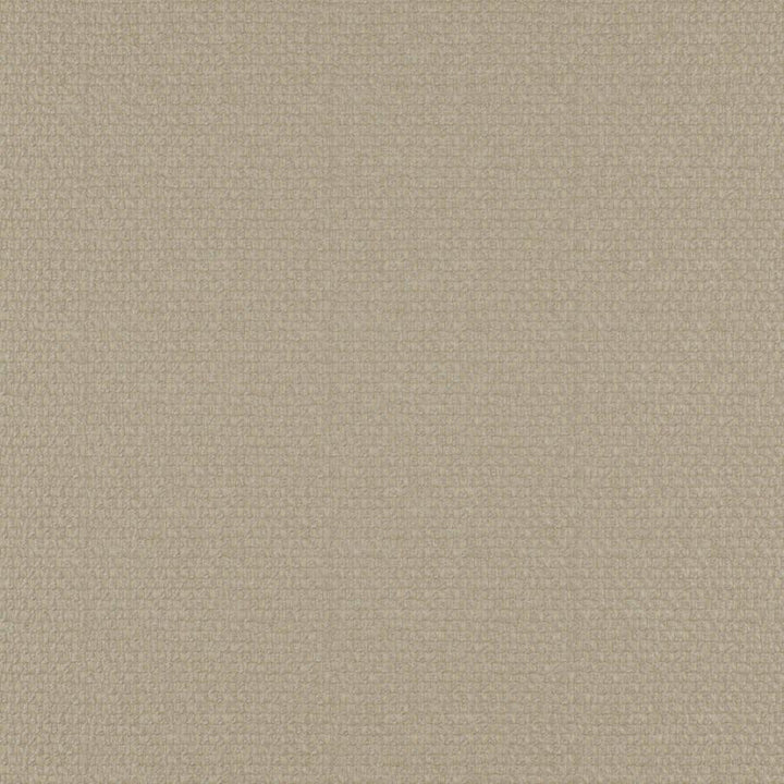 Take Off # 605 Cashew by Maxwell Fabric 100% POLYESTER CHINA 56" - Fabric Carolina -