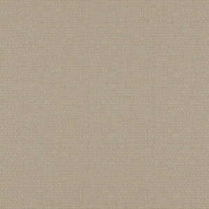 Take Off # 605 Cashew by Maxwell Fabric