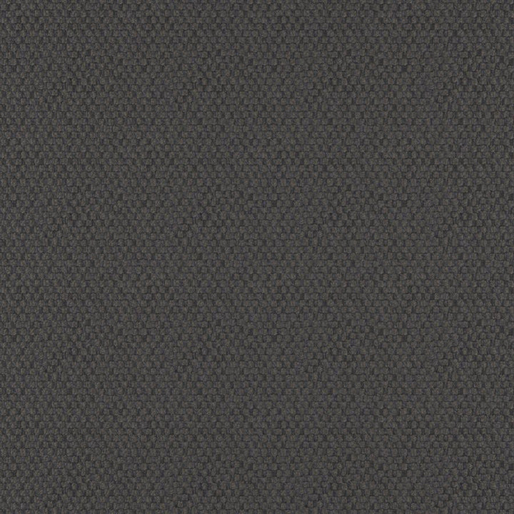 Take Off # 608 Washed Black by Maxwell Fabric 100% POLYESTER CHINA 56" - Fabric Carolina -