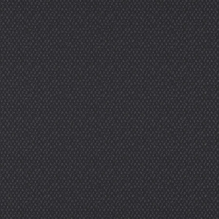 Take Off # 609 Ebony by Maxwell Fabric 100% POLYESTER CHINA 56" - Fabric Carolina -
