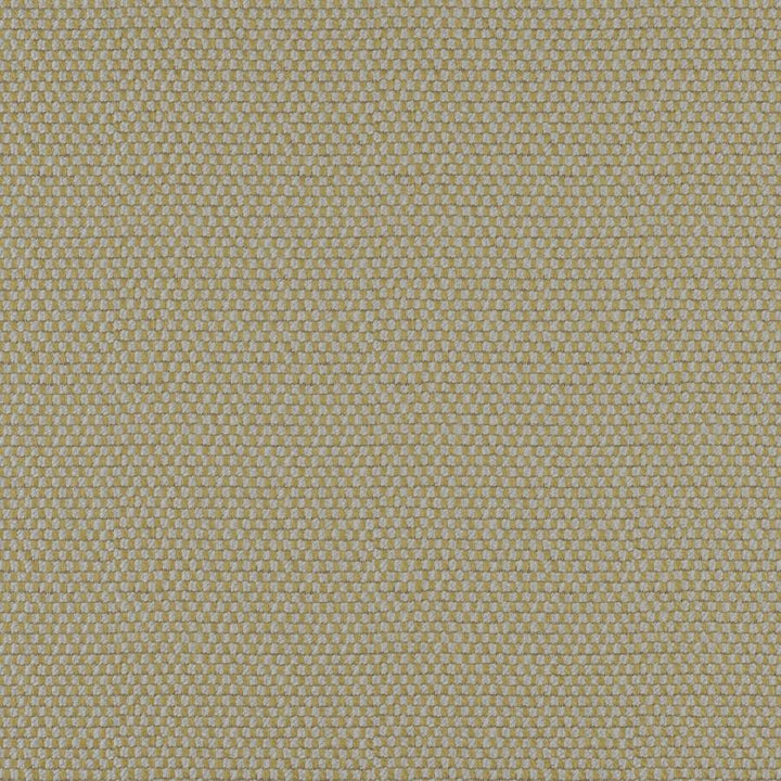Take Off # 613 Moss by Maxwell Fabric 100% POLYESTER CHINA 56" - Fabric Carolina -