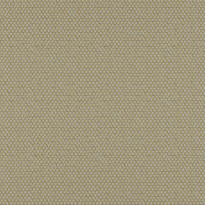 Take Off # 613 Moss by Maxwell Fabric