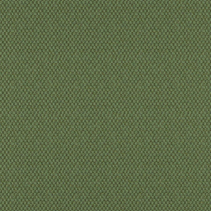 Take Off # 614 Forest by Maxwell Fabric 100% POLYESTER CHINA 56" - Fabric Carolina -