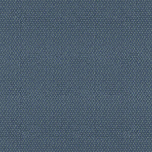 Take Off # 620 Pool by Maxwell Fabric