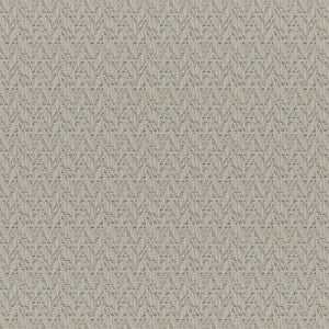 Tierra # 247 Desert by Maxwell Fabric