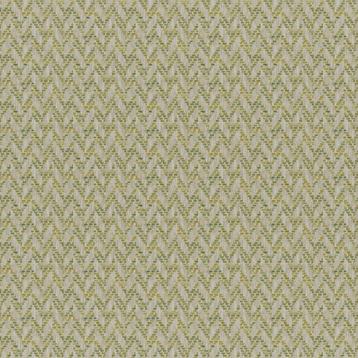 Tierra # 836 Meadow by Maxwell Fabric Colorguard-Amazonia 84% POLYESTER/16% COTTON INDIA V-1.3" H-1.1" 56.5" - Fabric Carolina -