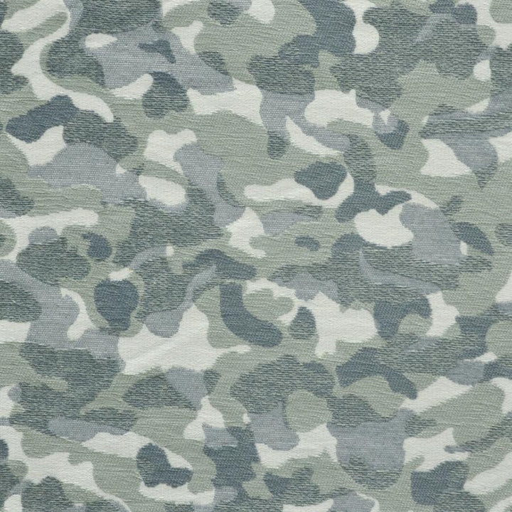 Topography # 712 Algae by Maxwell Designer Fabric Performance Wovens-Vol. V Paintbrush 73% POLYESTER/27% COTTON USA V-17" H-9.4" 55" - Swanky Fabrics -