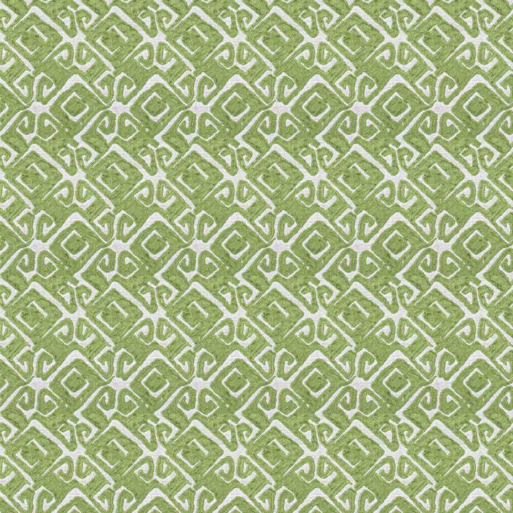 Tracy 2 Chive by Stout Designer Fabric COMFORTABLE LIVING ALOE/FERN 52%POL 48%SVI INDIA WYZENBEEK 48 000 DOUBLE RUB WEAR TEST (HEAVY DUTY) CATB 117-2013 Horizontal: 7 and Vertical: 12 54 in - Swanky Fabrics -